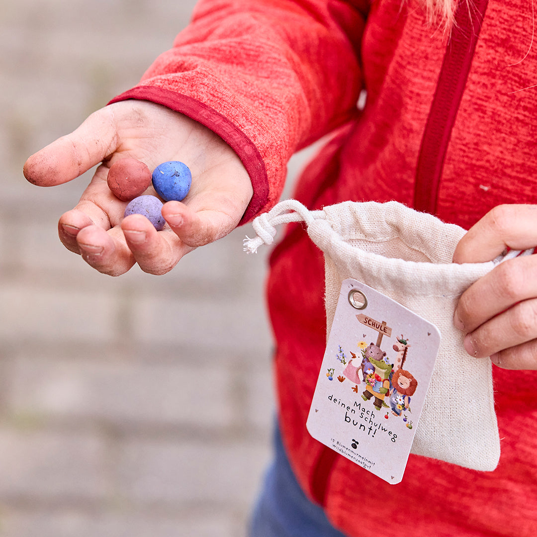 15 boules de graines dans un sac en coton