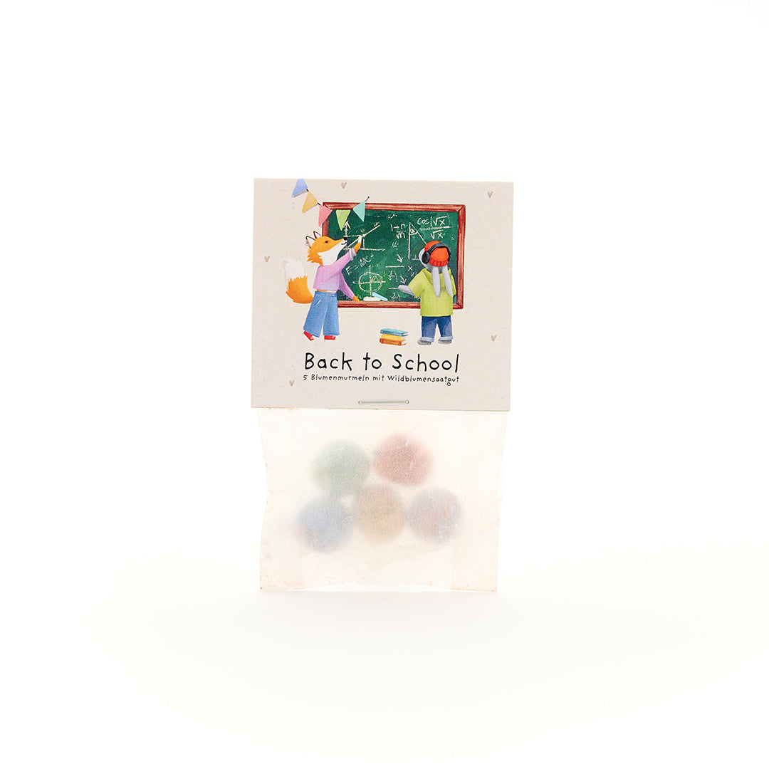5 billes de fleurs dans un sachet pour la rentrée "Tableau"