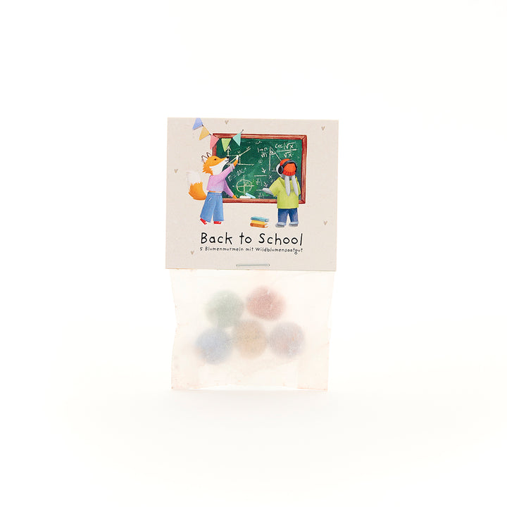 5 billes de fleurs dans un sachet pour la rentrée "Tableau"