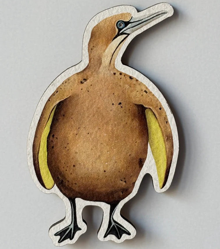 Aimant en bois oiseaux légumes - Fou de Bassan
