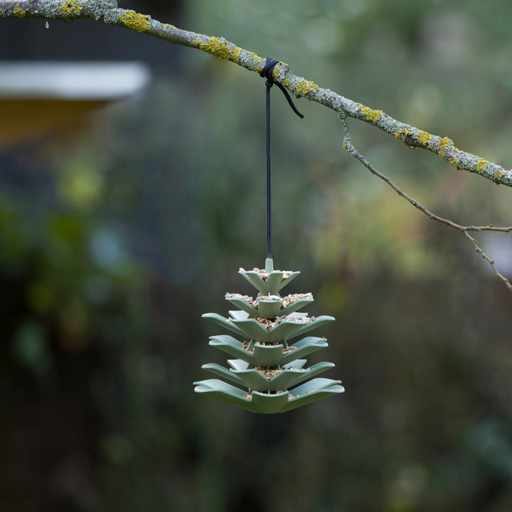 Distributeur de nourriture pour oiseaux cône