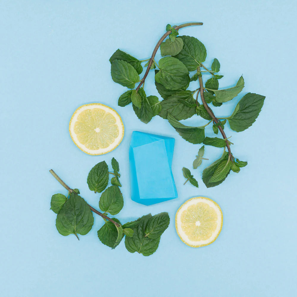 Shampoing & gel douche solide maxi menthe