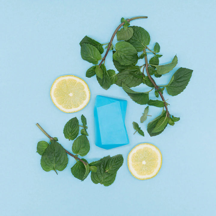 Shampoing & gel douche solide maxi menthe