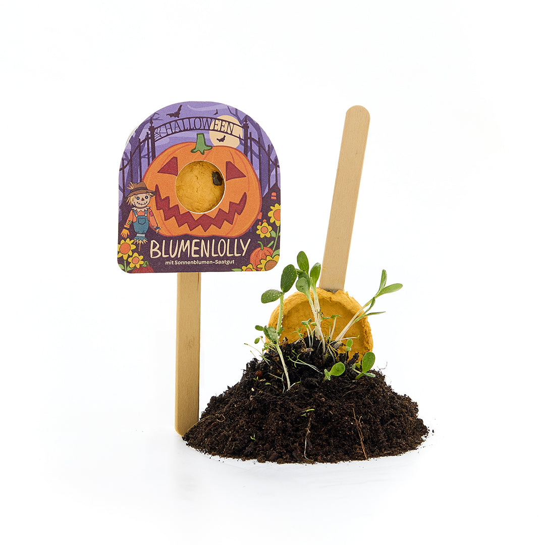 Halloween - sucette fleur - tournesol