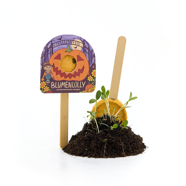 Halloween - sucette fleur - tournesol