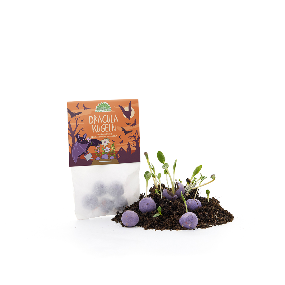 5 billes de fleurs dans un sachet "Balles Dracula"