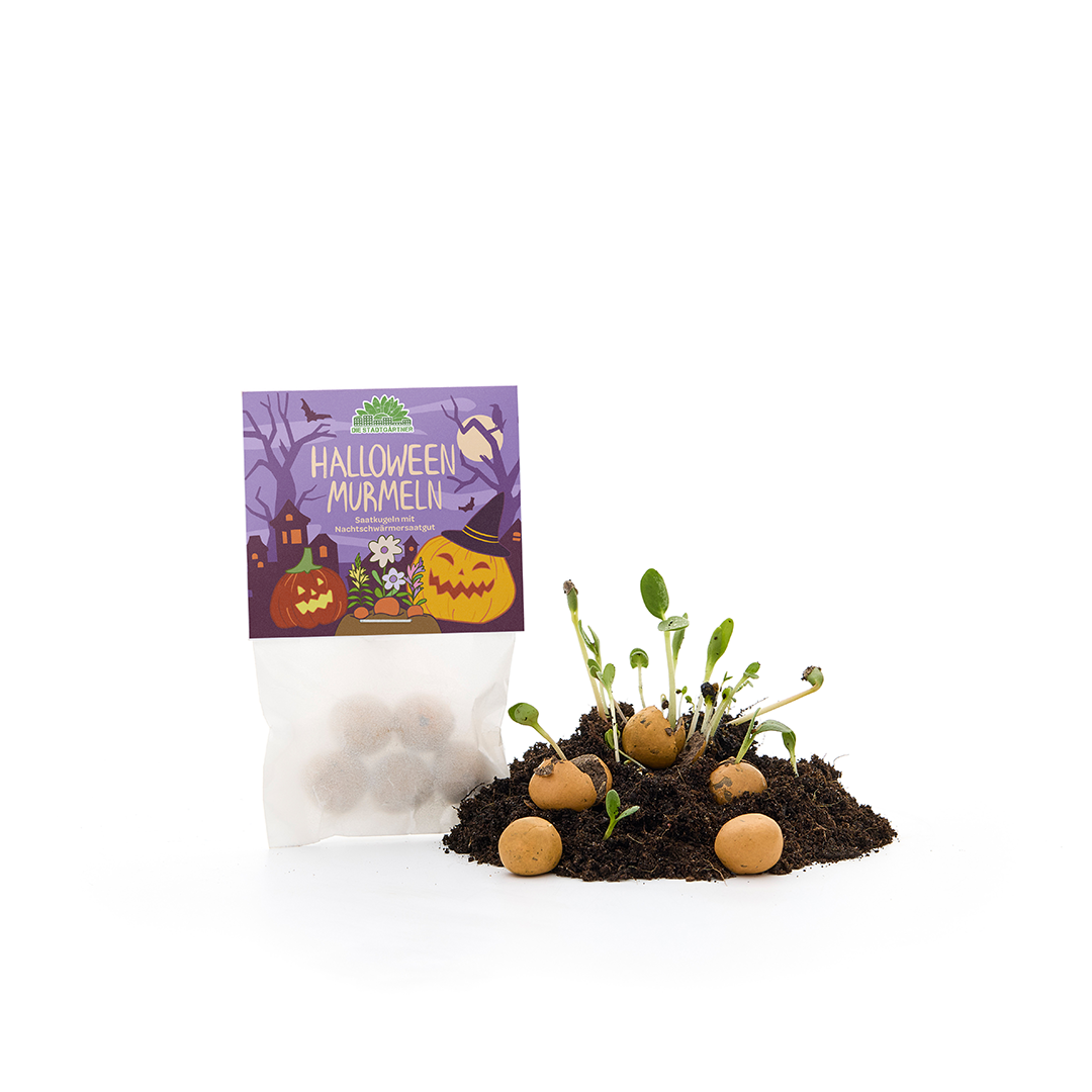 5 billes de fleurs dans un sachet "Billes Halloween"