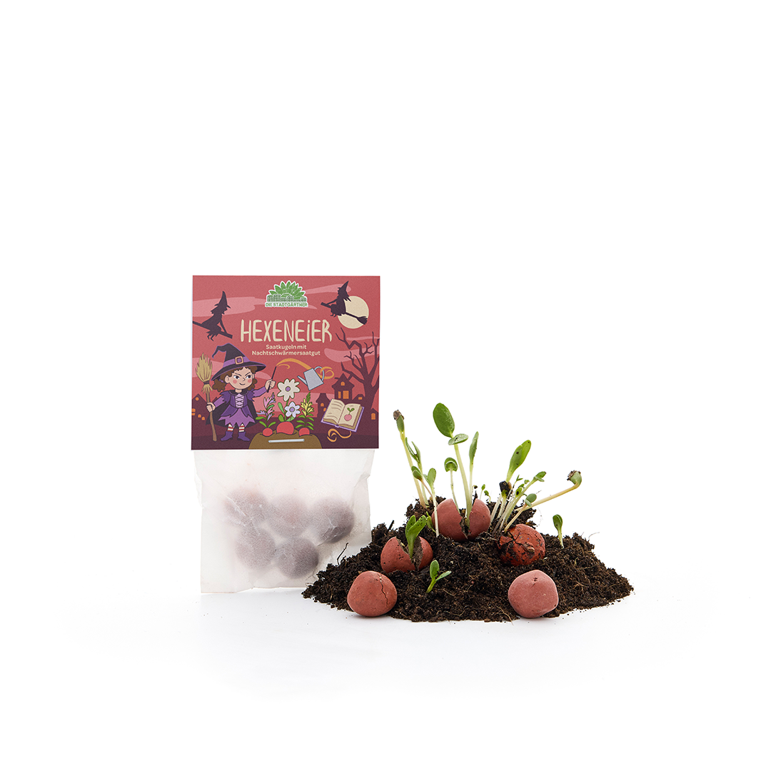 5 billes de fleurs dans un sachet "Œufs de sorcière"