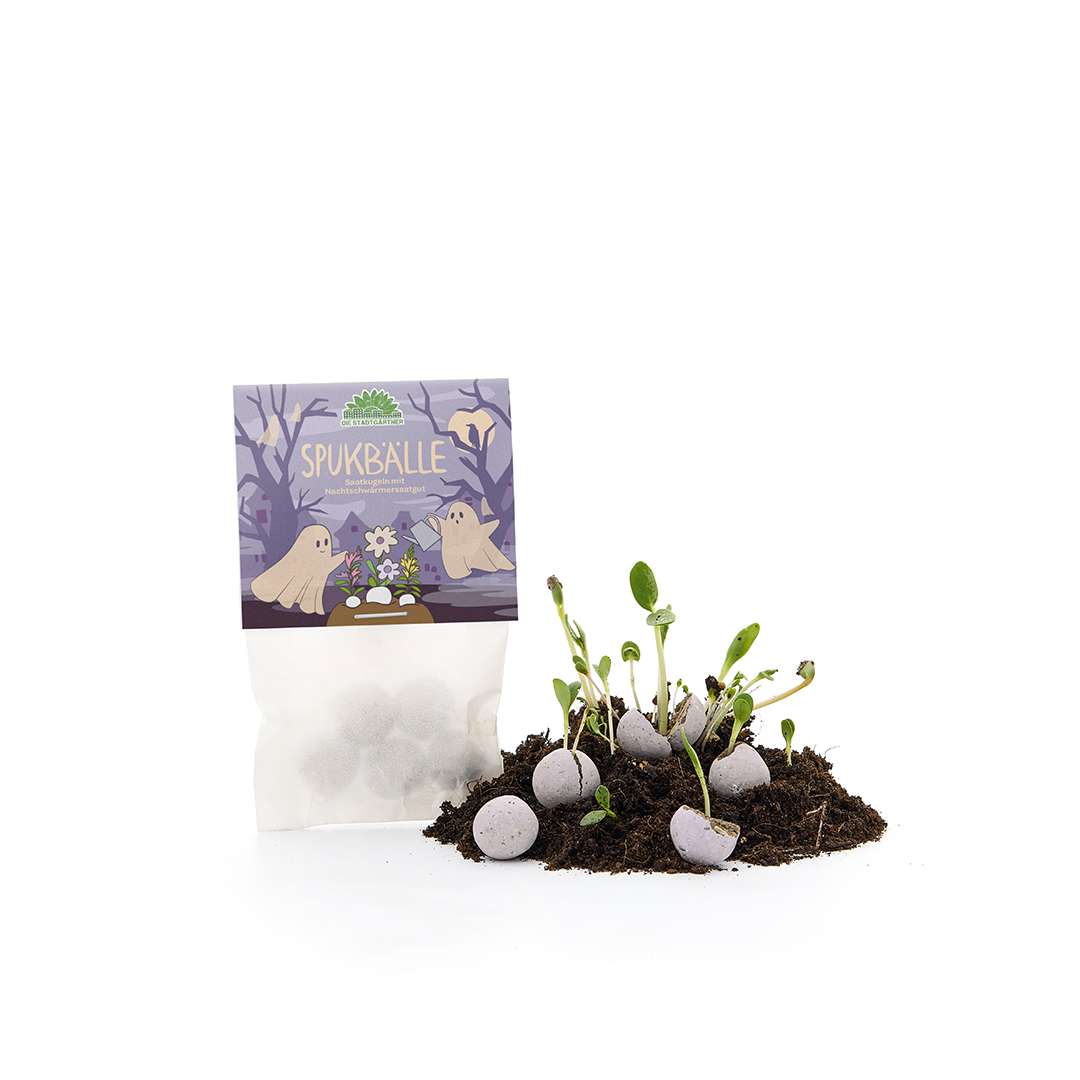 5 billes de fleurs dans un sachet "Balles hantées"