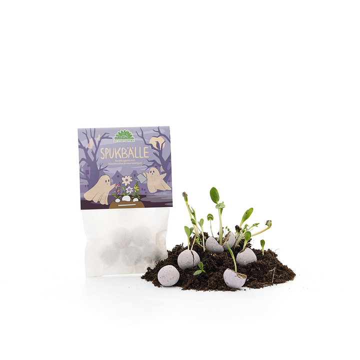 5 billes de fleurs dans un sachet "Balles hantées"