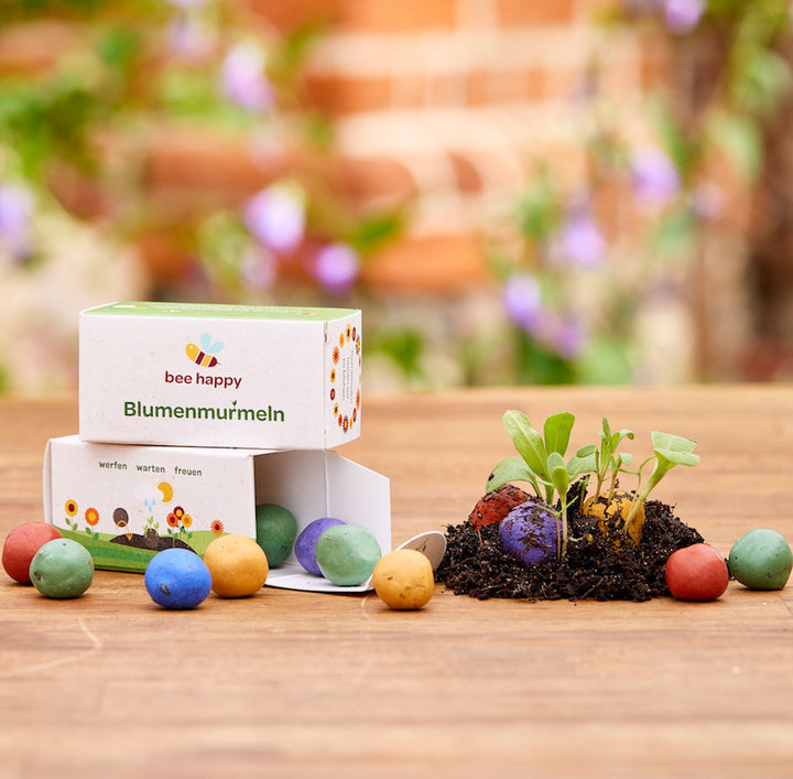 Des billes de fleurs colorées et une boîte étiquetée « billes de fleurs heureuses pour les abeilles » sur une table en bois, avec de la terre et des plantes en train de germer à côté.