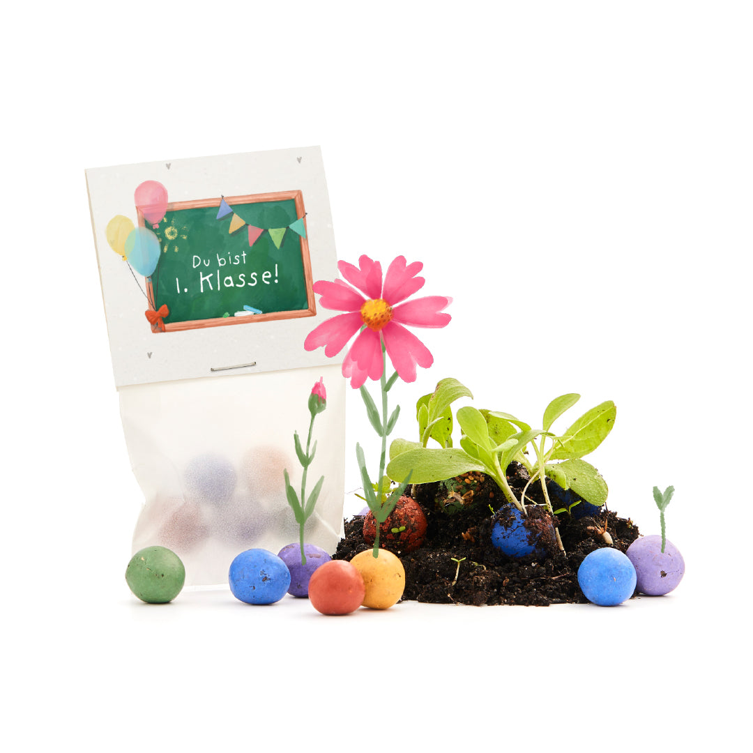 5 billes de fleurs dans un sac pour le premier jour d'école « Vous êtes en 1ère année »