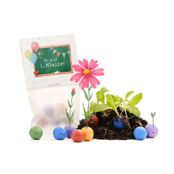 5 billes de fleurs dans un sac pour le premier jour d'école « Vous êtes en 1ère année »