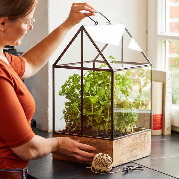 La maison de décoration convient également comme serre et maison de propagation