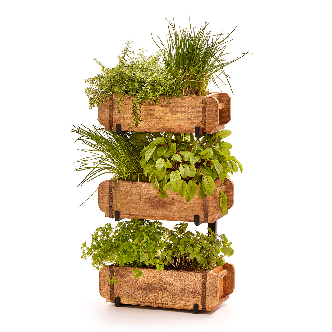 Trois caisses en bois empilées les unes sur les autres contenant diverses herbes fraîches.