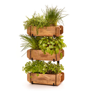 Trois caisses en bois empilées les unes sur les autres contenant diverses herbes fraîches.