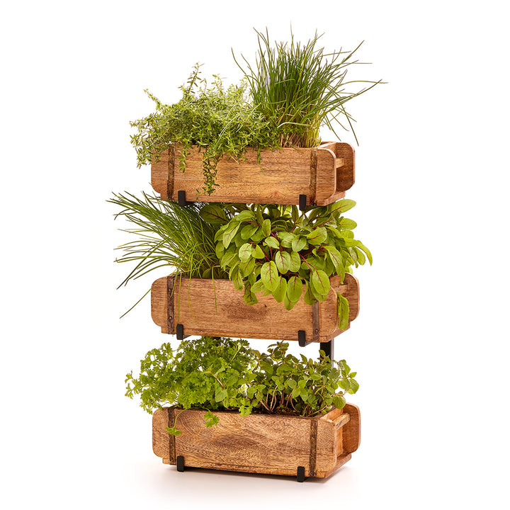 Trois caisses en bois empilées les unes sur les autres plantées de diverses herbes fraîches.