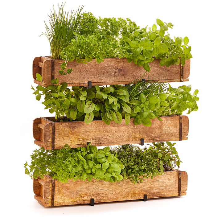 Trois jardinières en bois contenant diverses herbes fraîches, empilées les unes sur les autres.