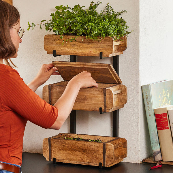 Une femme place des boîtes en bois contenant des herbes sur un support mural, avec des livres à côté.