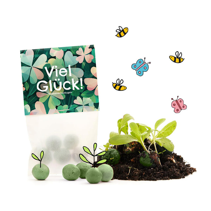 Sac avec l'inscription "Bonne chance !", boules de graines vertes, terreau, petites plantes et abeilles et papillons dessinés.