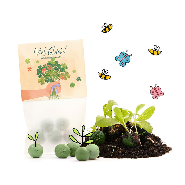 Un paquet de boules de graines de trèfle porte-bonheur, à côté de semis verts dans le sol, entourés de dessins d'abeilles et de papillons.