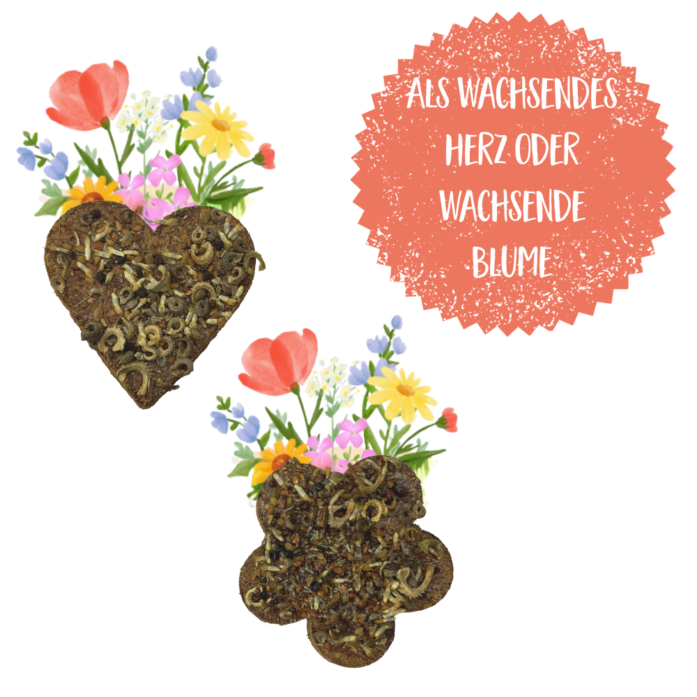 Cœur / Fleur en croissance
