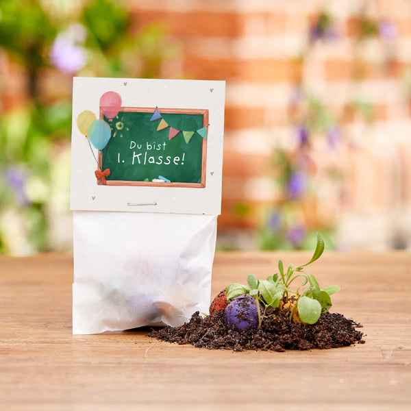 5 billes de fleurs dans un sac pour le premier jour d'école « Vous êtes en 1ère année »