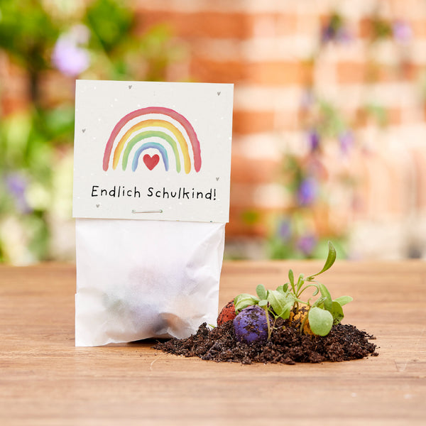 5 billes de fleurs dans un sac pour le premier jour d'école « Enfin un écolier »