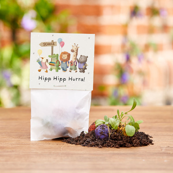 5 billes de fleurs dans un sac pour l'inscription à l'école "Hipp Hipp Hourra !"