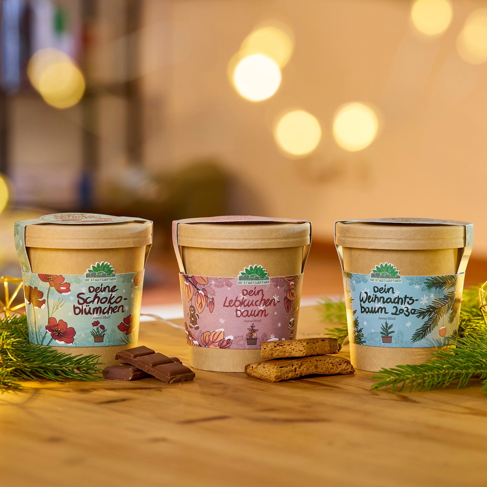 Trois pots de fleurs décoratifs étiquetés « Votre fleur en chocolat », « Votre arbre en pain d'épices » et « Votre arbre de Noël 2023 » se dressent sur une table en bois, entourés de branches de sapin, de morceaux de chocolat et de pain d'épices, avec des lumières chaudes et floues en arrière-plan.