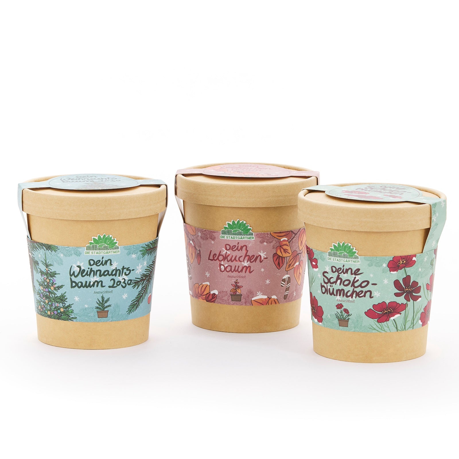 Trois pots de fleurs marron avec des étiquettes colorées, intitulées « Votre sapin de Noël », « Votre sapin en pain d'épices » et « Vos fleurs en chocolat ».