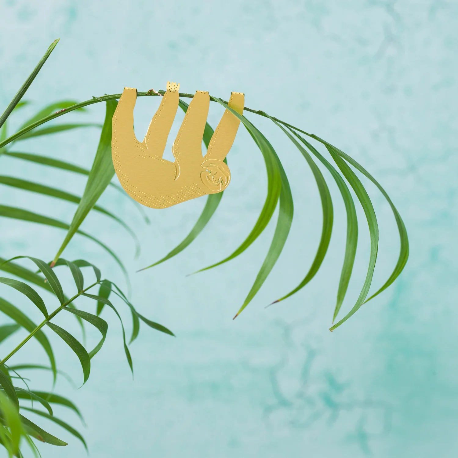 Plante animal paresseux
