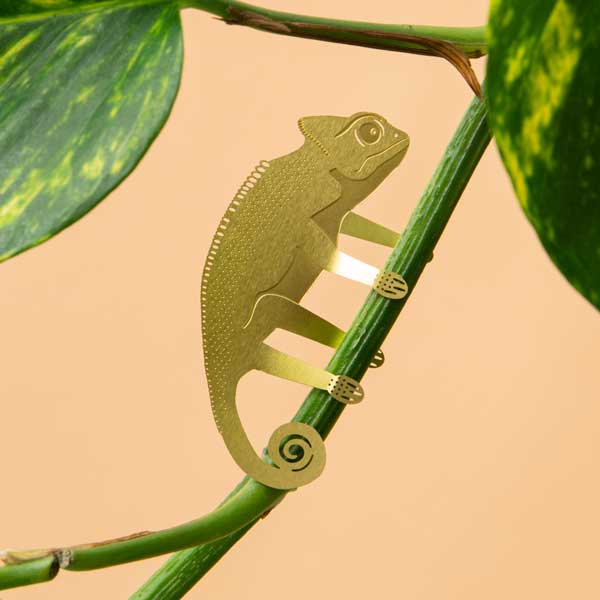 Caméléon animal végétal
