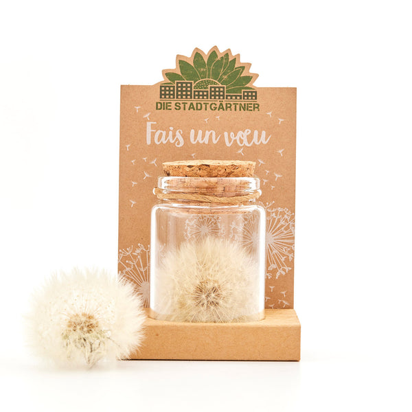 Exauceur de voeux - Véritable pissenlit en verre