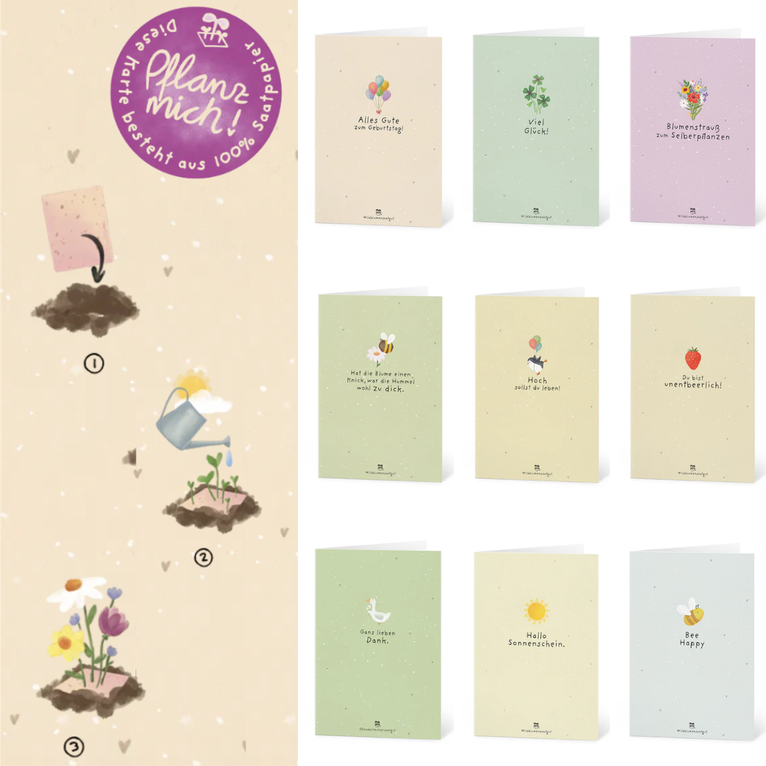 Salutations florissantes pour chaque occasion : set de 9 cartes de vœux