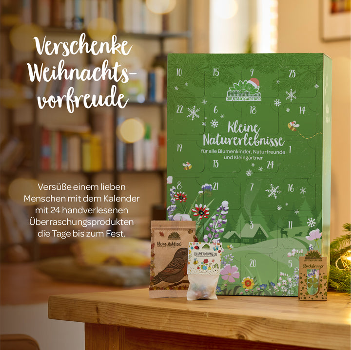 Un grand calendrier de l'Avent vert "Petites Expériences Nature" au design de Noël, entouré de petits sachets de graines, dans un salon confortablement décoré.