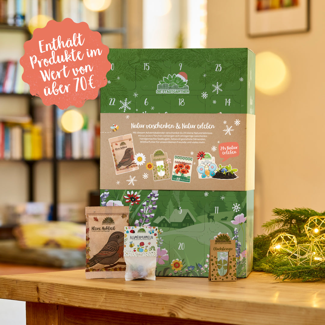 Un calendrier de l'Avent au design vert et hivernal se dresse sur une table en bois devant une étagère floue, avec des décorations et des petits sacs pour graines et boules de fleurs au premier plan ; un texte sur le calendrier et une bulle rouge indiquent les produits d'une valeur supérieure à 70 euros.