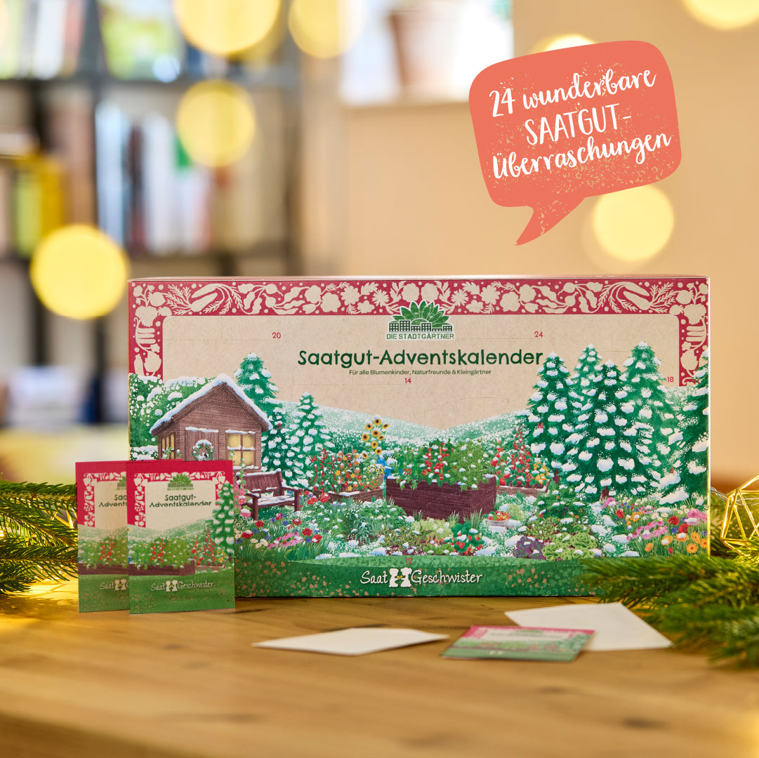 Calendrier de l'Avent avec 24 surprises de graines
