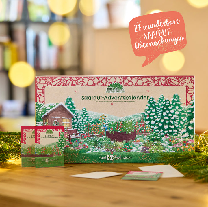 Calendrier de l'Avent avec 24 surprises de graines