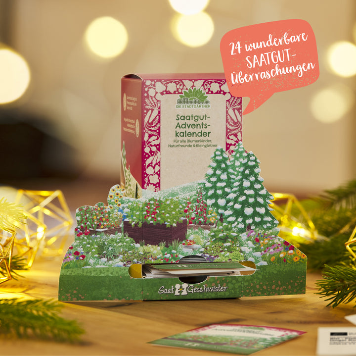 Calendrier de l'Avent des graines avec 24 surprises de graines