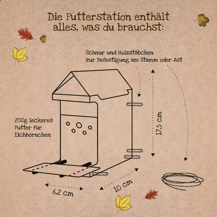 Station d'alimentation pour écureuils esquissée avec dimensions et accessoires sur fond marron, entourée de feuilles d'automne et d'étiquettes en allemand.