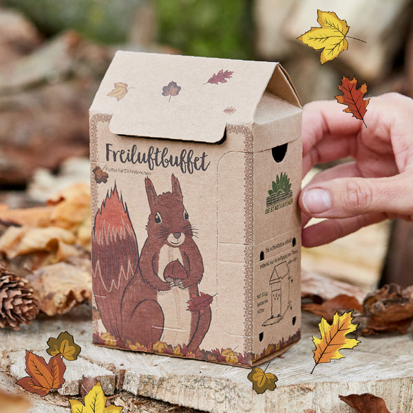 Boîte en carton avec une illustration d'écureuil et l'inscription "Buffet en plein air", entourée de feuilles d'automne, est tenue par une main.