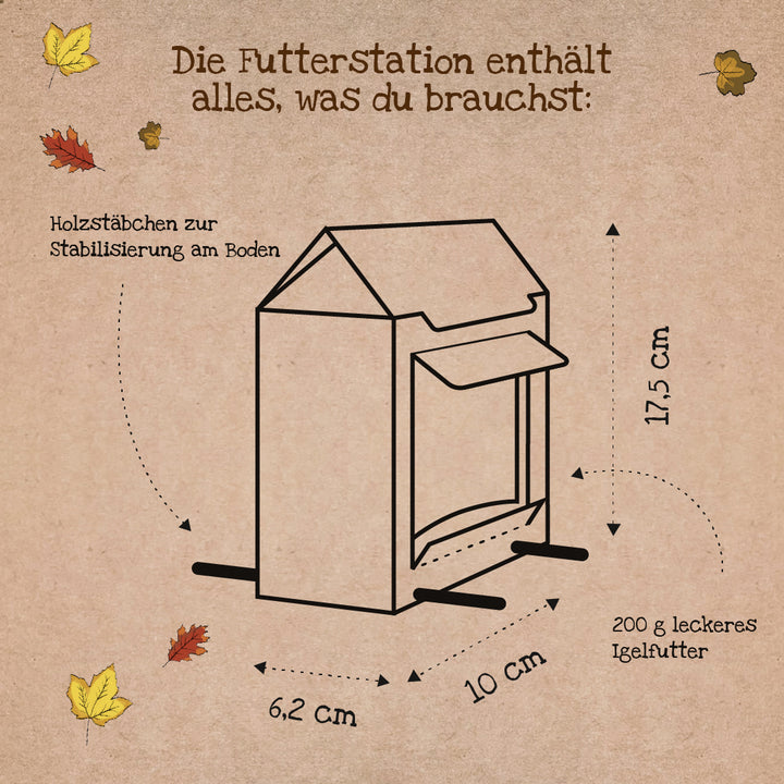 Dessin au trait d'une mangeoire avec dimensions (17,5 cm de hauteur, 10 cm de profondeur, 6,2 cm de largeur), bâtons en bois pour la stabilisation et indication de 200 g de nourriture pour hérisson, entourée de feuilles d'automne.