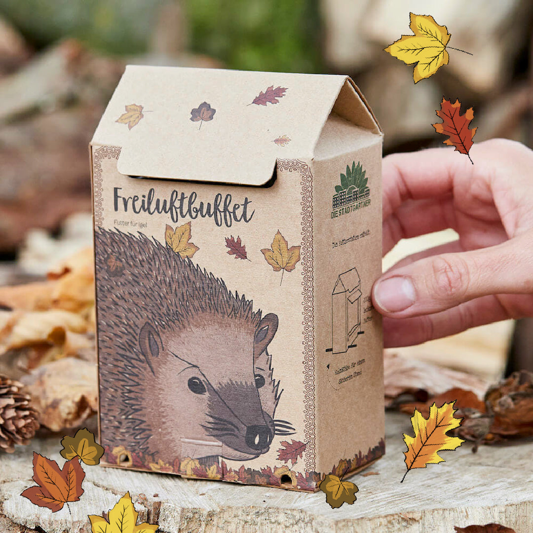 Boîte en carton avec une illustration de hérisson et l'inscription « Buffet en plein air », à côté une main et des feuilles d'automne.