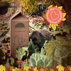 Un hérisson est assis dans les feuilles à côté d'une mangeoire en carton dans le jardin ; au-dessus se trouve un emblème automnal sur lequel est écrit « Pour nos petits amis ».