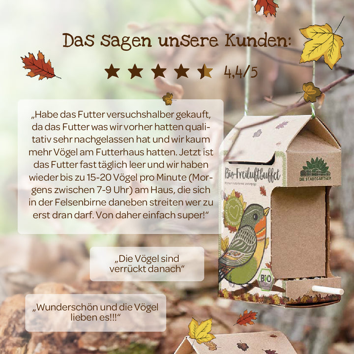 Citations et avis des clients sur la nourriture biologique pour oiseaux à côté d'un nichoir décoratif en carton avec des feuilles d'automne en arrière-plan.