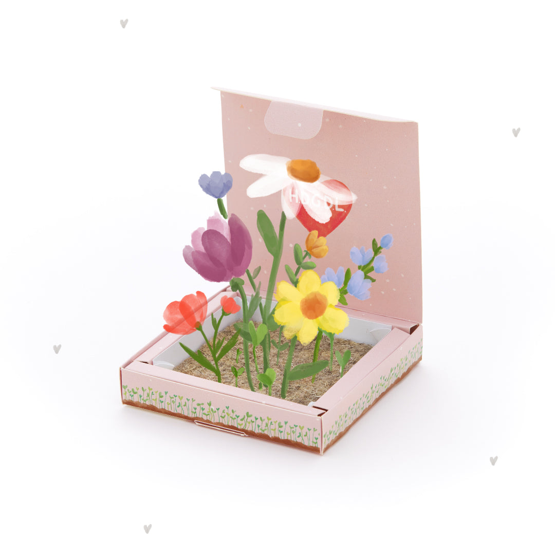 Planteur - HDGDL - Je t'aime beaucoup