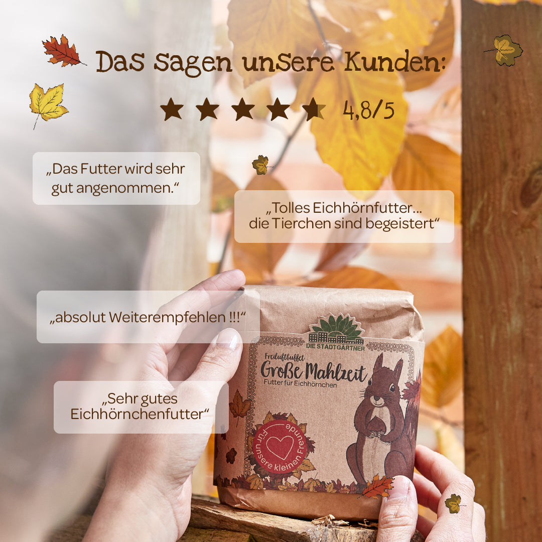 Une personne tenant un paquet de nourriture pour écureuils « Big Meal » devant des feuilles d'automne, entourée d'avis de clients et d'une note de 4,8 sur 5 étoiles.