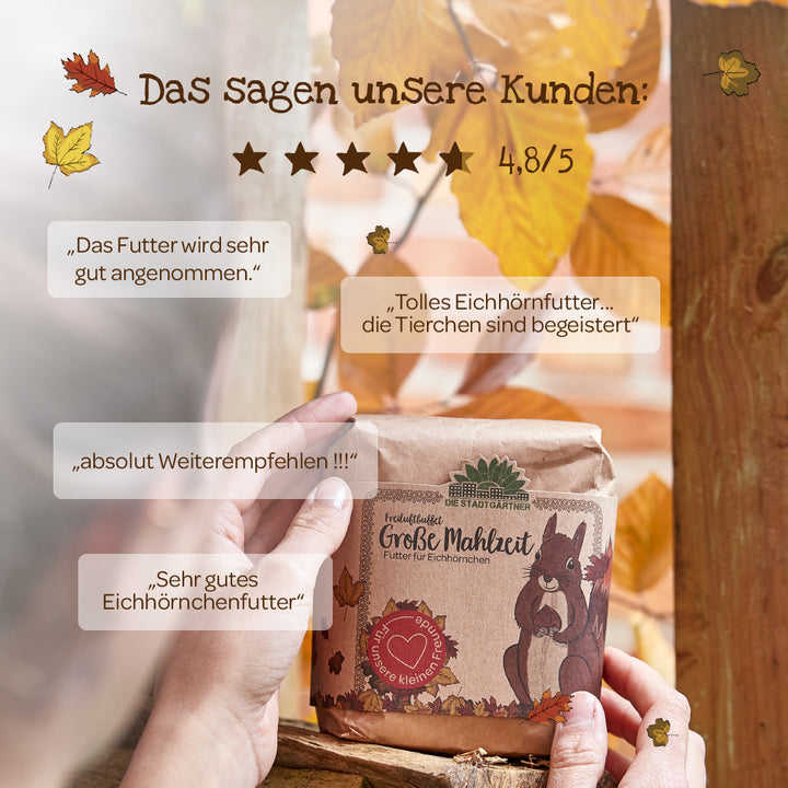 Une personne tenant un paquet de nourriture pour écureuils « Big Meal » devant des feuilles d'automne, entourée d'avis de clients et d'une note de 4,8 sur 5 étoiles.