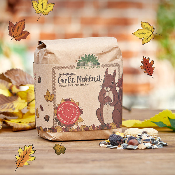 Sac en papier brun avec une illustration d'écureuil et l'inscription "Big Meal - Food for Squirrels" de Die Stadtgärtner, entouré de feuilles d'automne et de noix sur une table en bois.